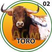2026-02-09 16:00 2 Toro