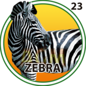2025-10-16 11:00 23 Cebra