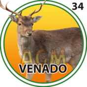 2025-10-16 10:00 34 Venado