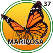 2025-10-16 13:00 37 Mariposa