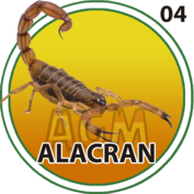2025-10-16 12:00 4 Alacrán