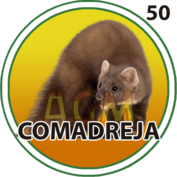 2025-10-16 10:30 50 Comadreja