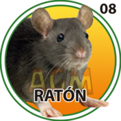 2025-10-16 09:00 8 Ratón