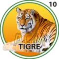 2024-07-01 16:00 10 Tigre