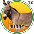 2024-07-01 12:00 18 Burro