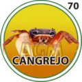 2024-07-01 11:30 70 Cangrejo